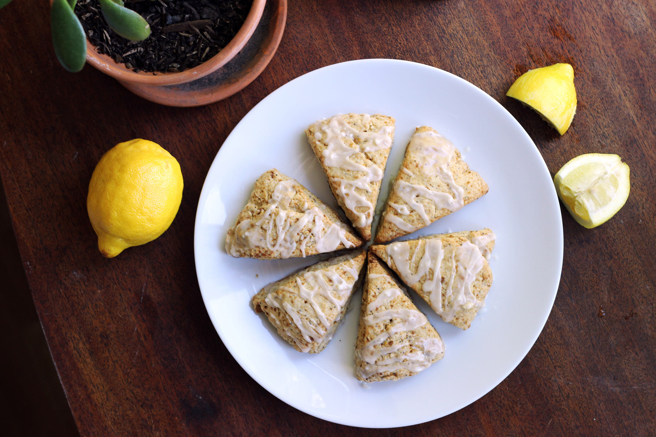 A white plate with six glazed scones arranged in a circle is placed on a wooden table. Whole and halved lemons are nearby, along with a potted plant.